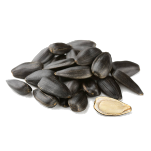 Sunflower seeds PNG-42928